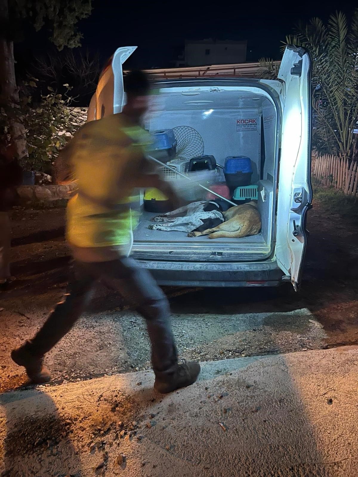 12 Hayvanı Zehirlediği İddia Edilen Şahıs Yakalandı (1)