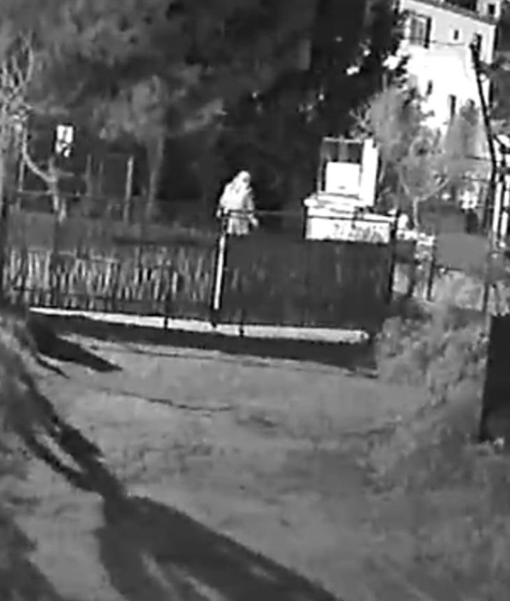 12 Hayvanı Zehirlediği İddia Edilen Şahıs Yakalandı (2)