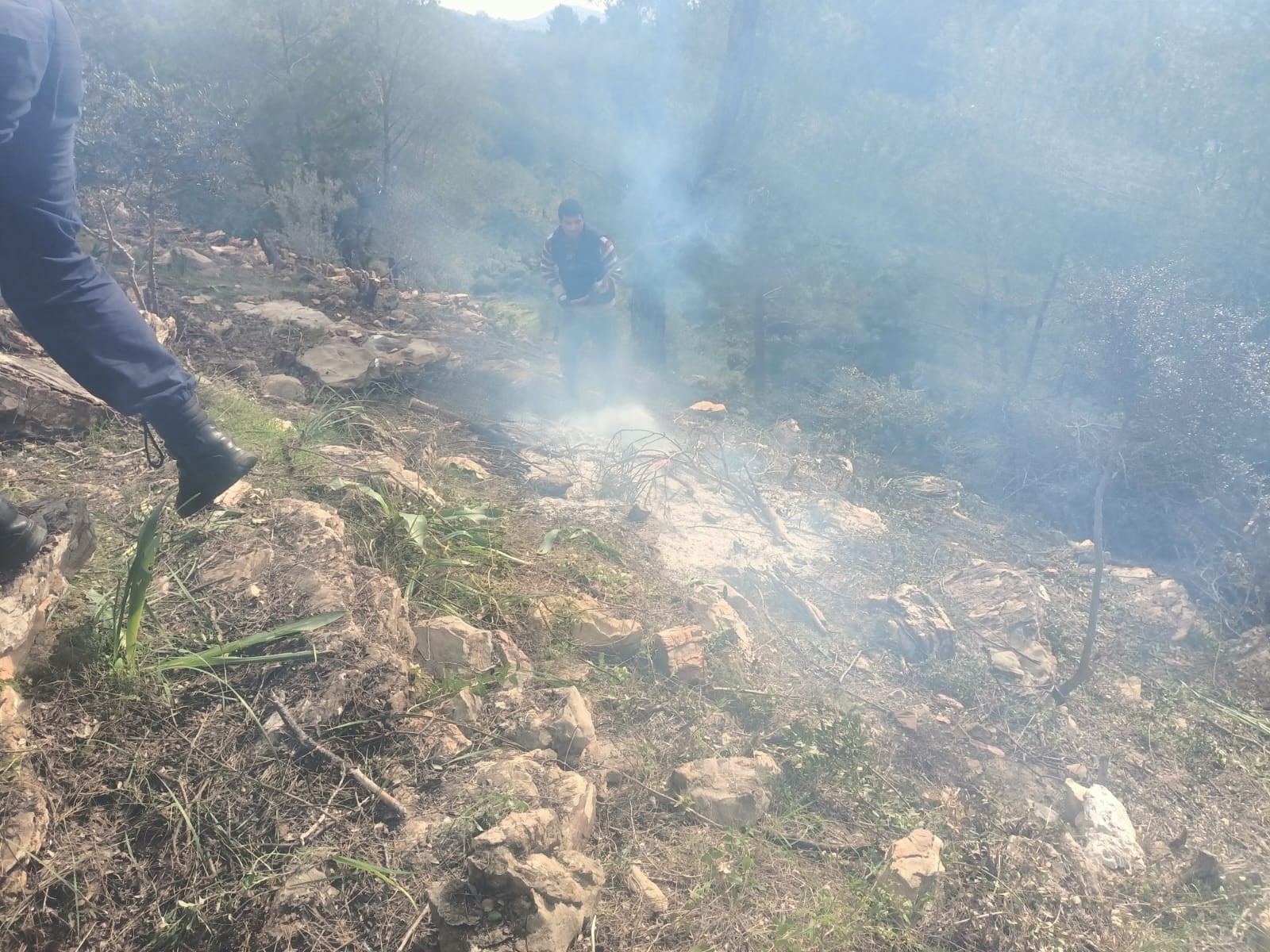 Ağaçları Kesip Yaktılar 20 Gözaltı (1)