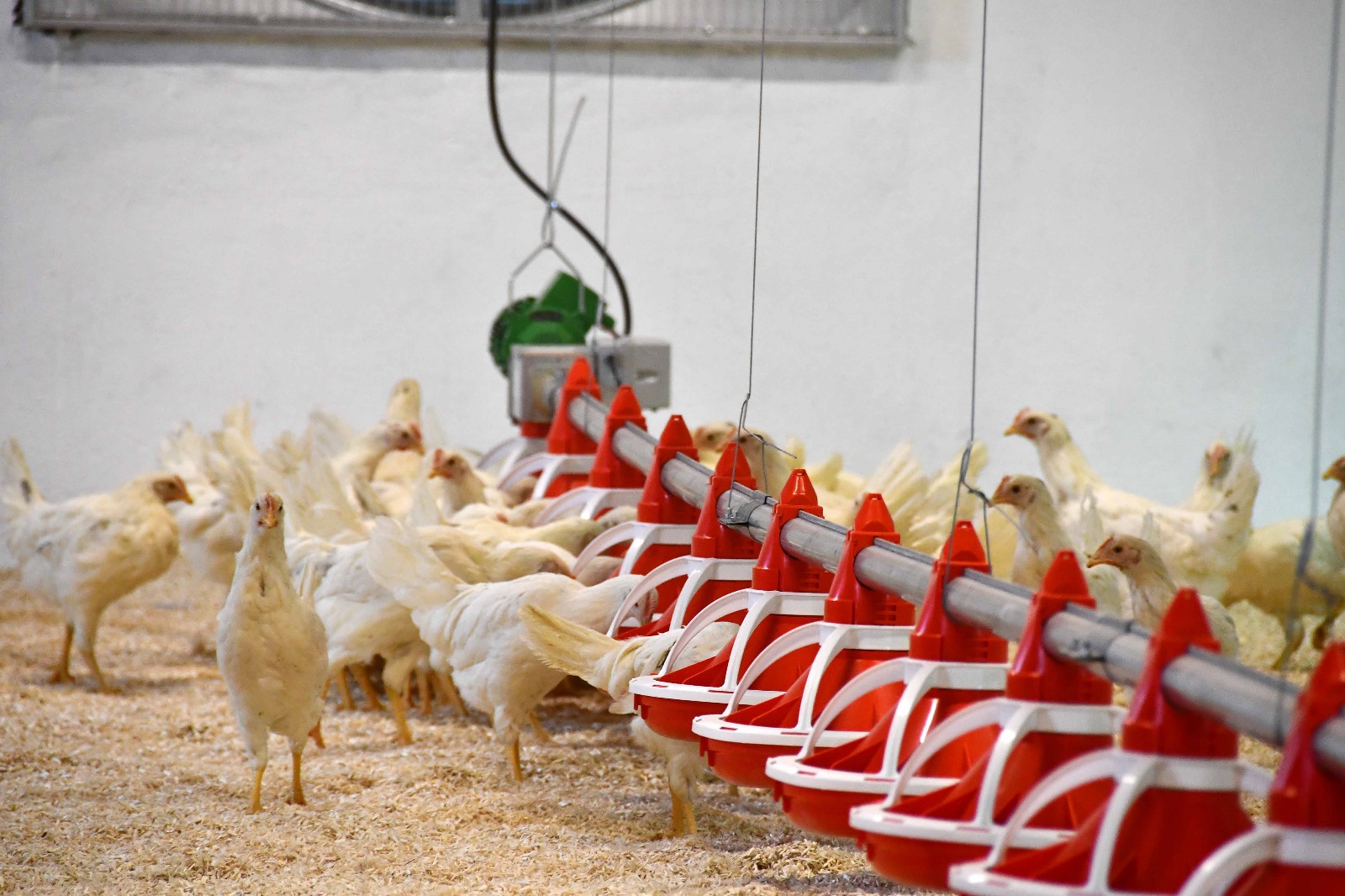 Whatsapp Görsel 2024 02 28 Saat 16.27.13 Ff8C1A4A