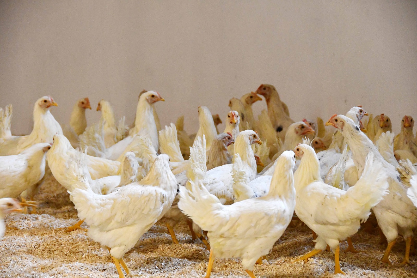 Whatsapp Görsel 2024 02 28 Saat 16.27.21 37Af93E7