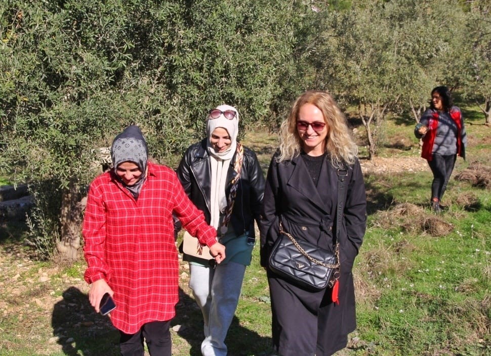 Almanlar Ve İngilizler Zeytin Budamayı Öğrendi (4)