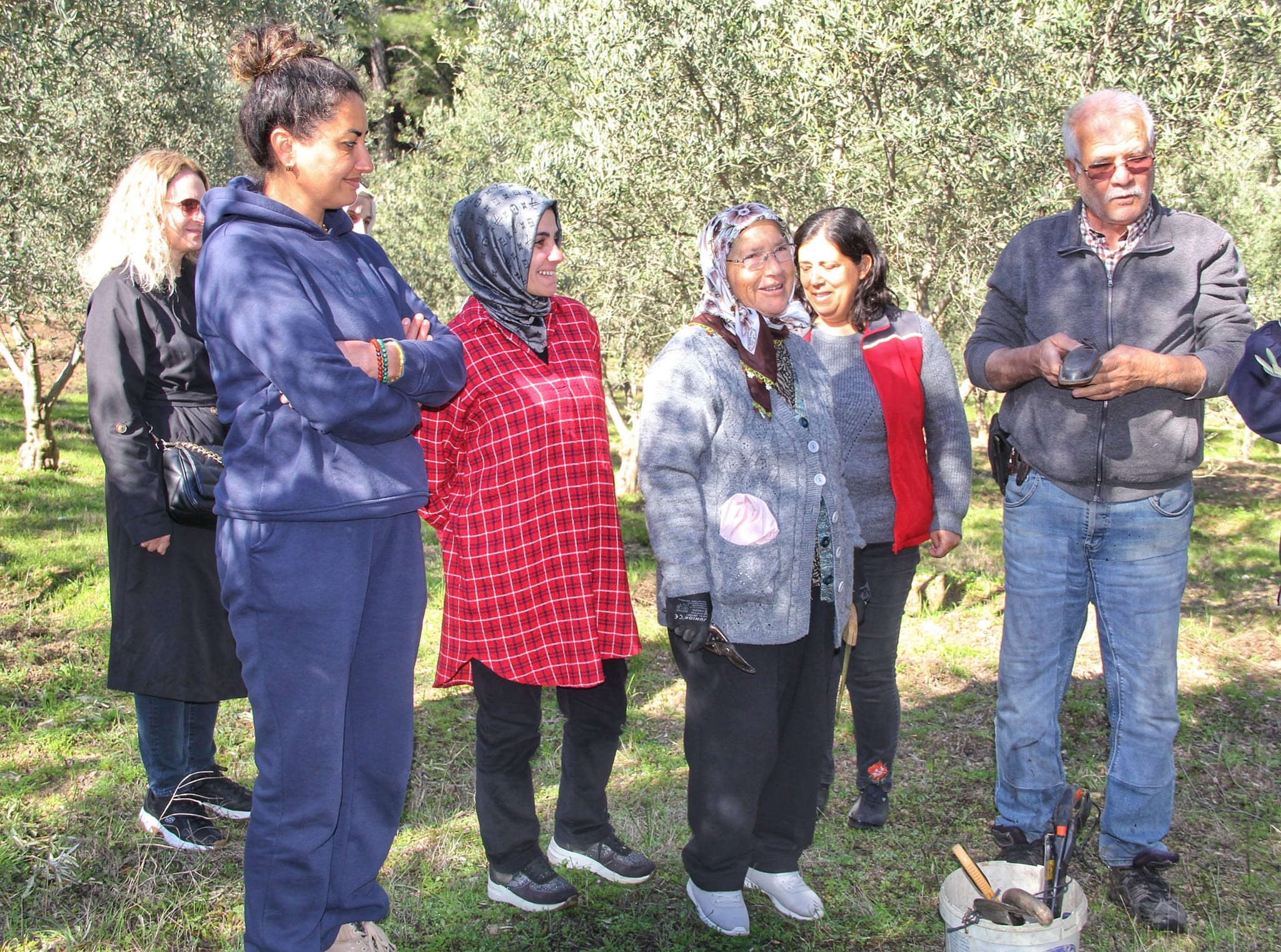 Almanlar Ve İngilizler Zeytin Budamayı Öğrendi (5)