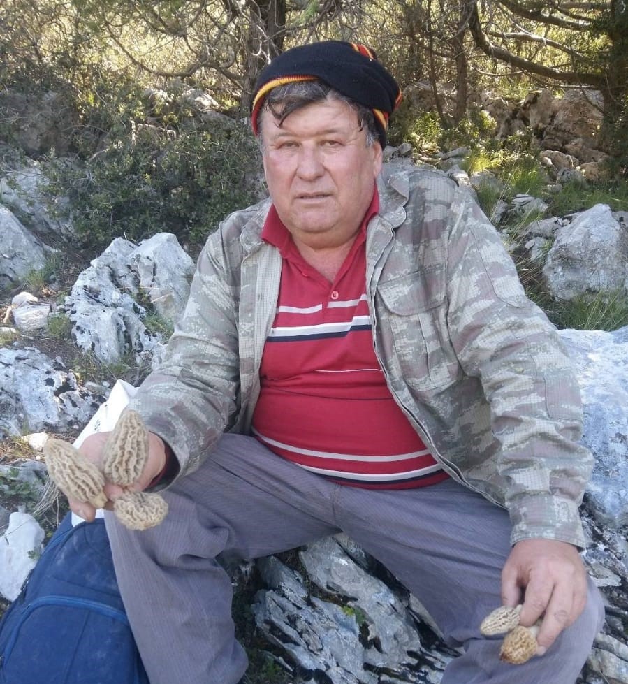Göbek