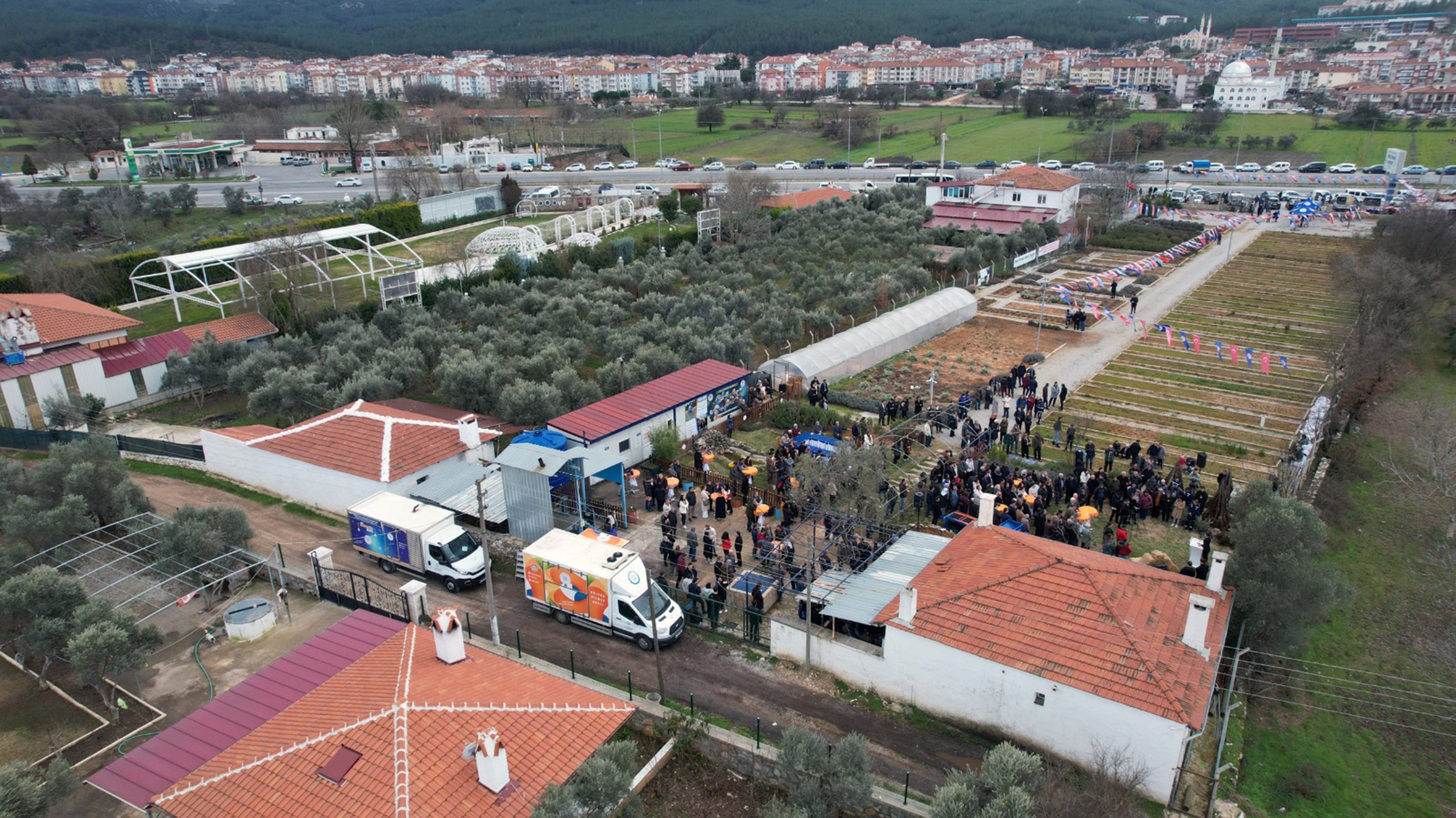 Meyve Fidanı Dağıtımı Devam Ediyor (3)