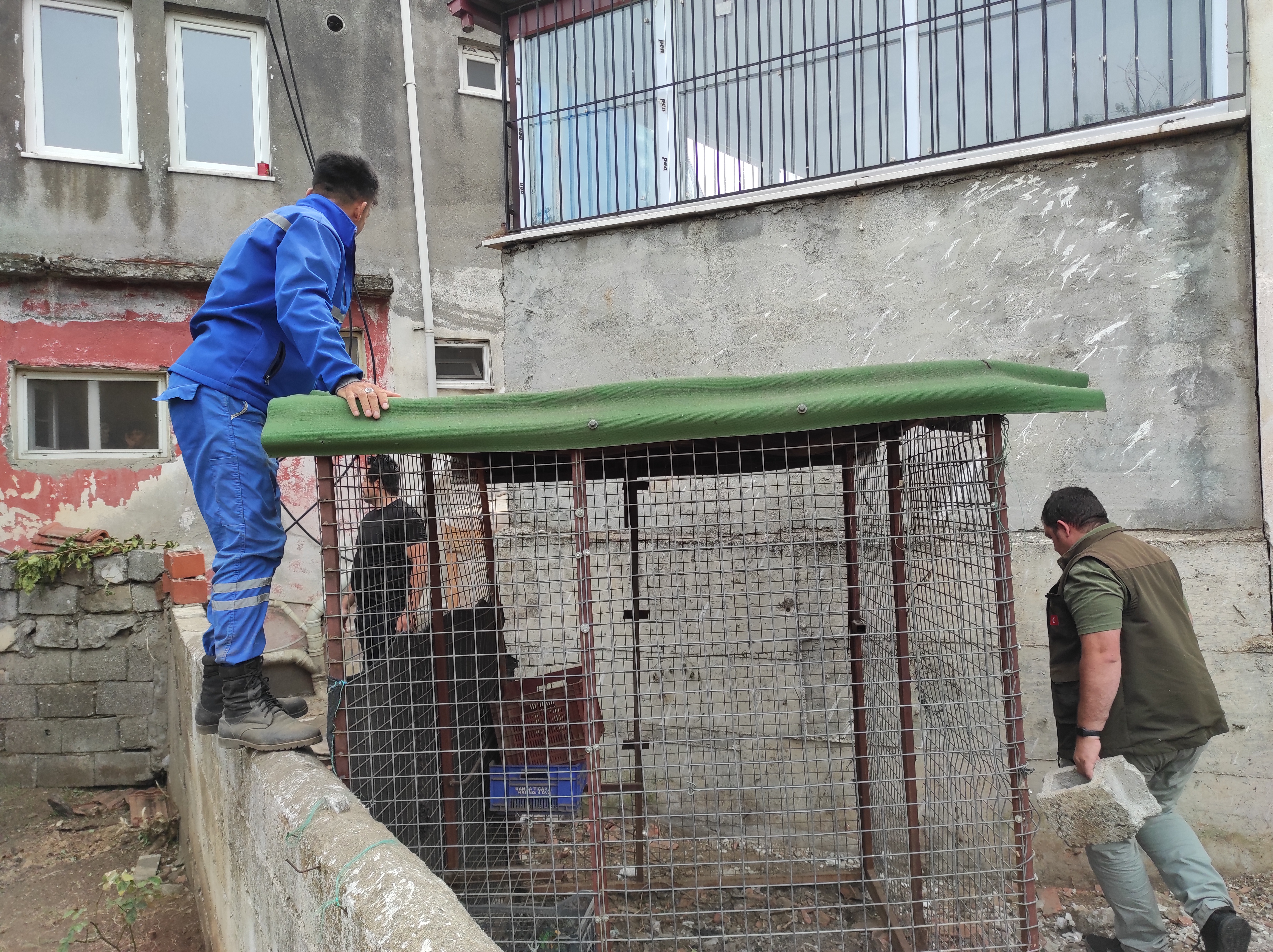 I M G 20240517 160342