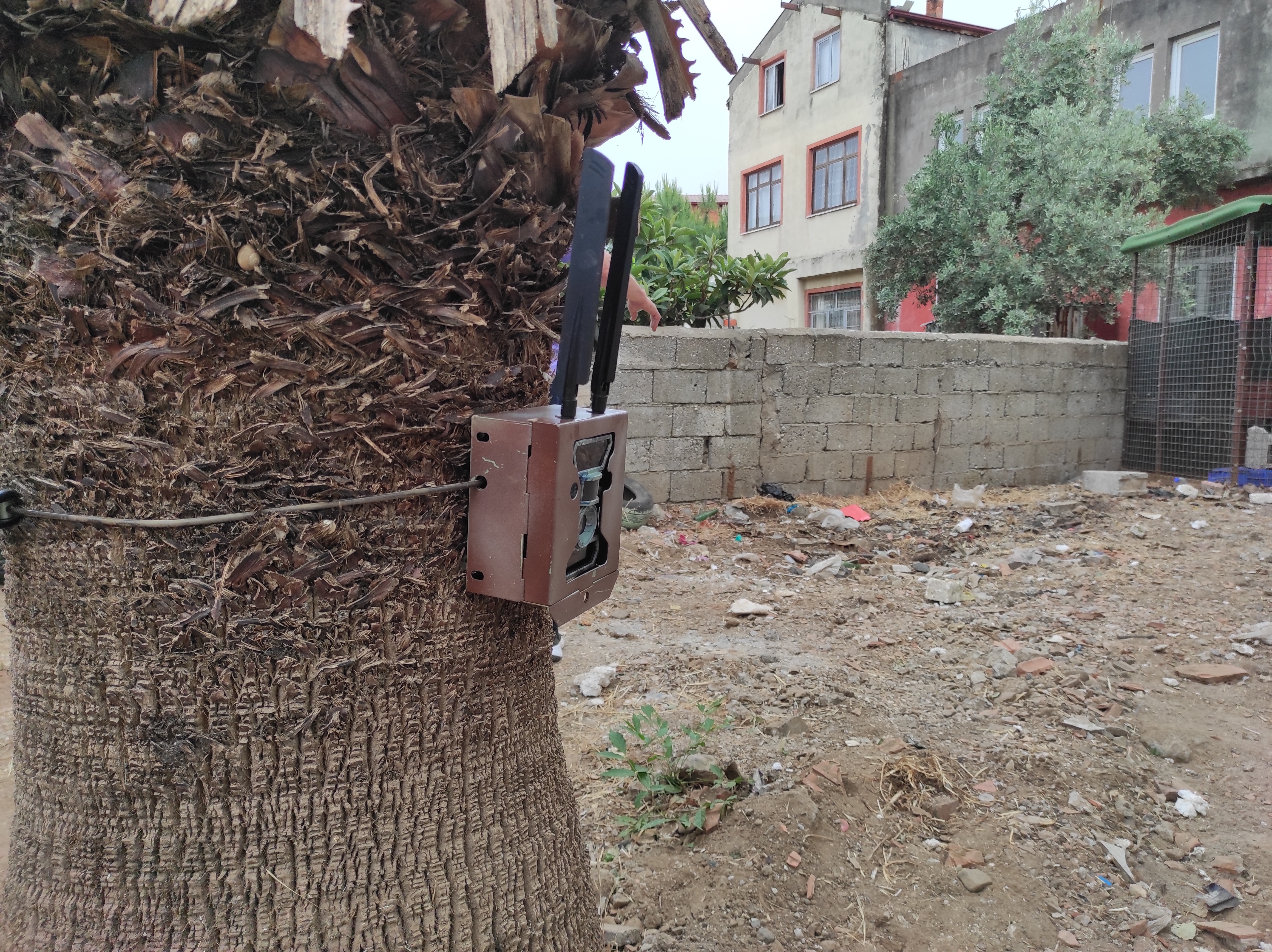 I M G 20240517 160603