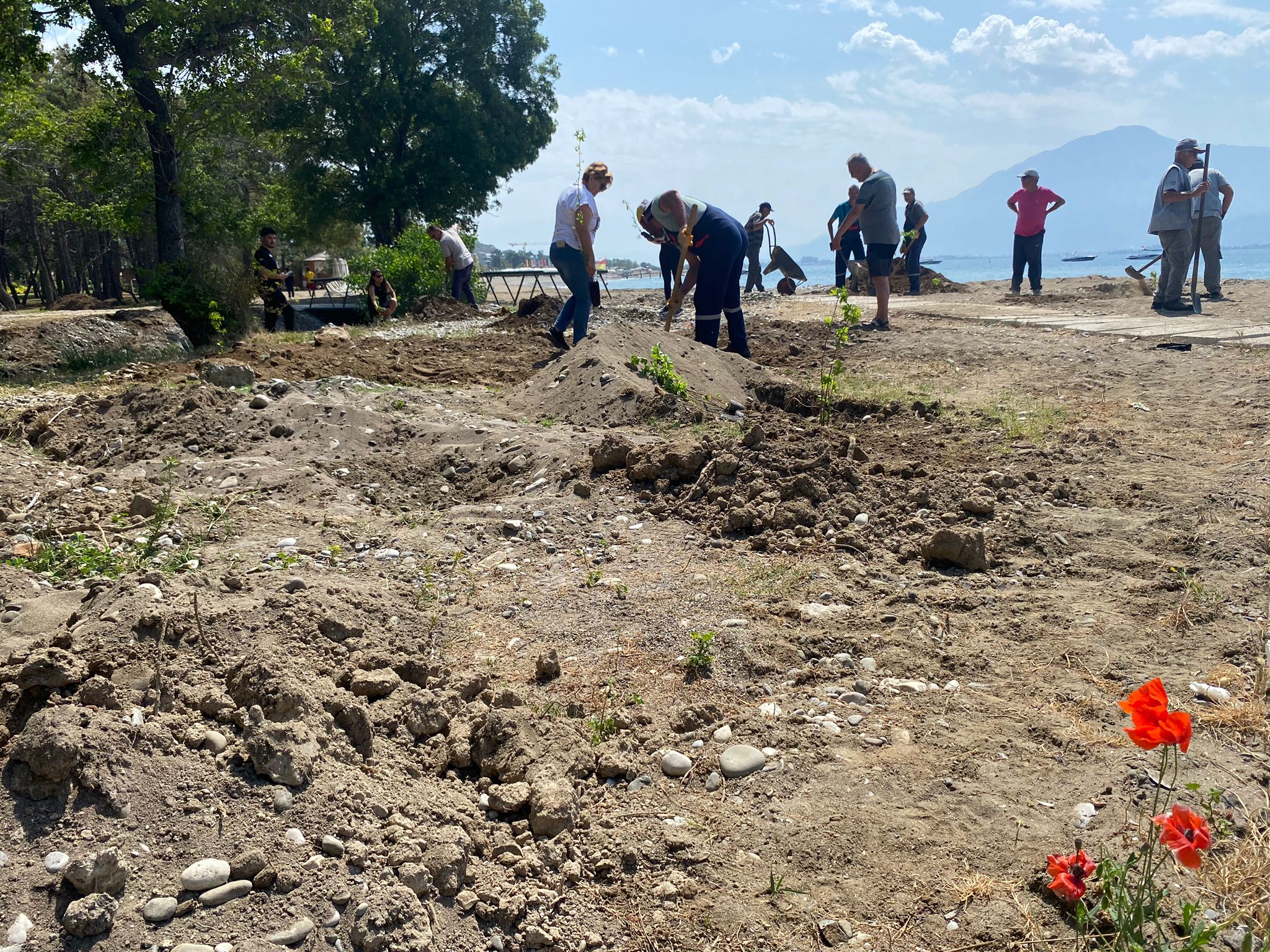 Whatsapp Görsel 2024 05 01 Saat 15.12.42 6704Ee30