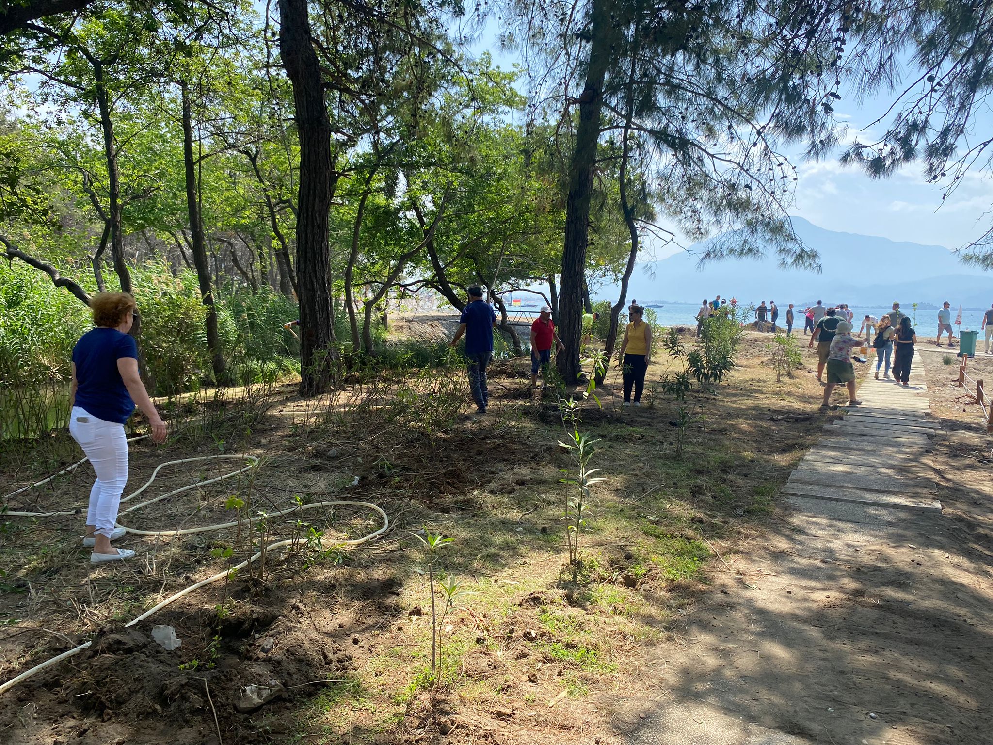 Whatsapp Görsel 2024 05 01 Saat 15.12.44 E69Ae3E3