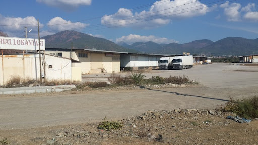 Whatsapp Görsel 2024 05 02 Saat 17.55.34 335B4D51