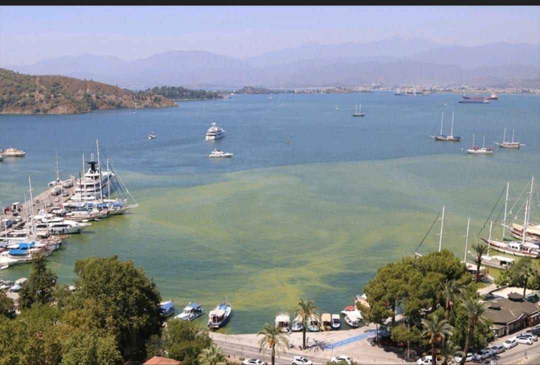 Whatsapp Görsel 2024 05 02 Saat 17.58.49 2C632531