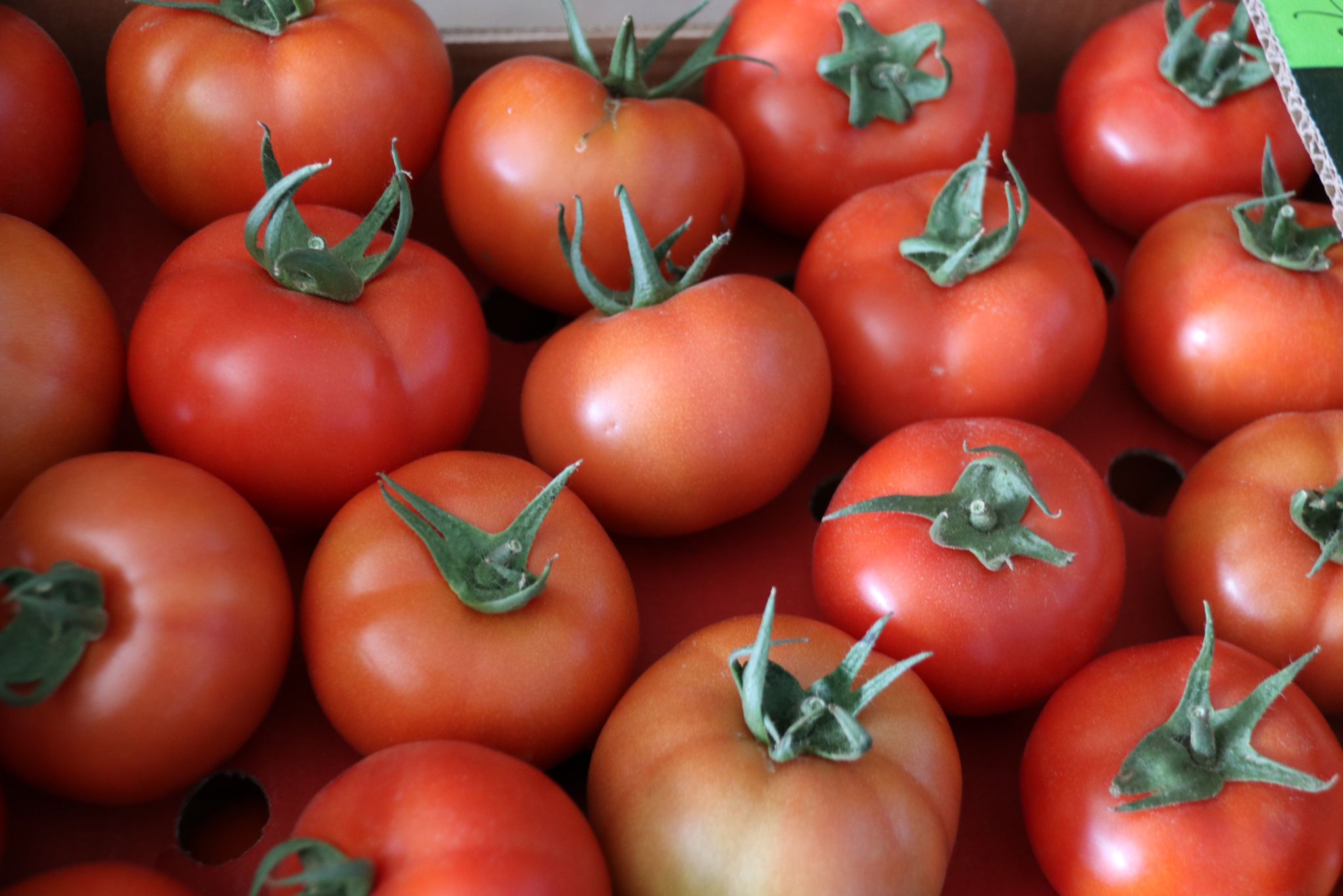 Whatsapp Görsel 2024 05 09 Saat 14.38.32 3E633203