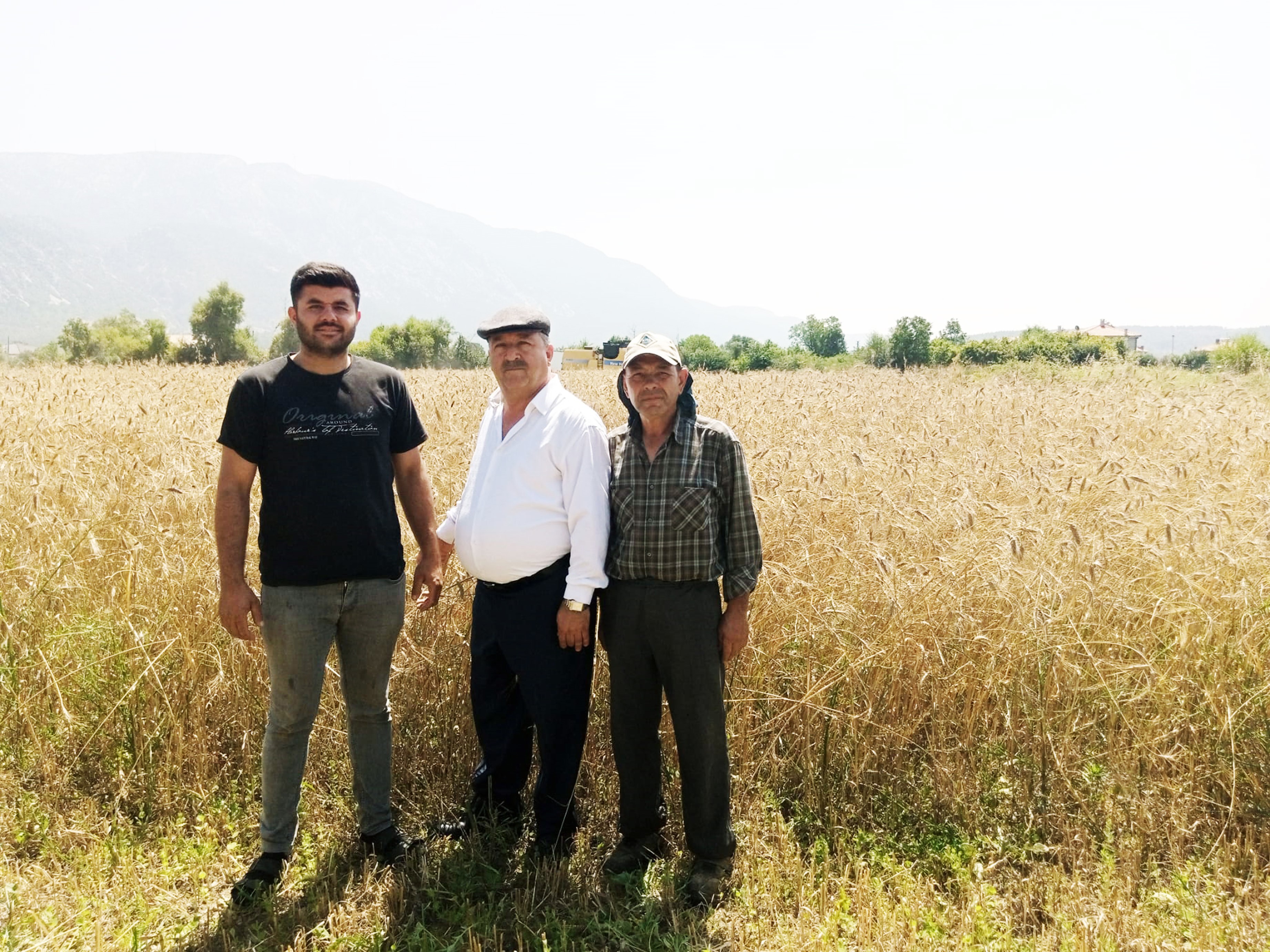 Çiftçi Buğday Fiyatlarının Açıklanmasını Bekliyor (2)