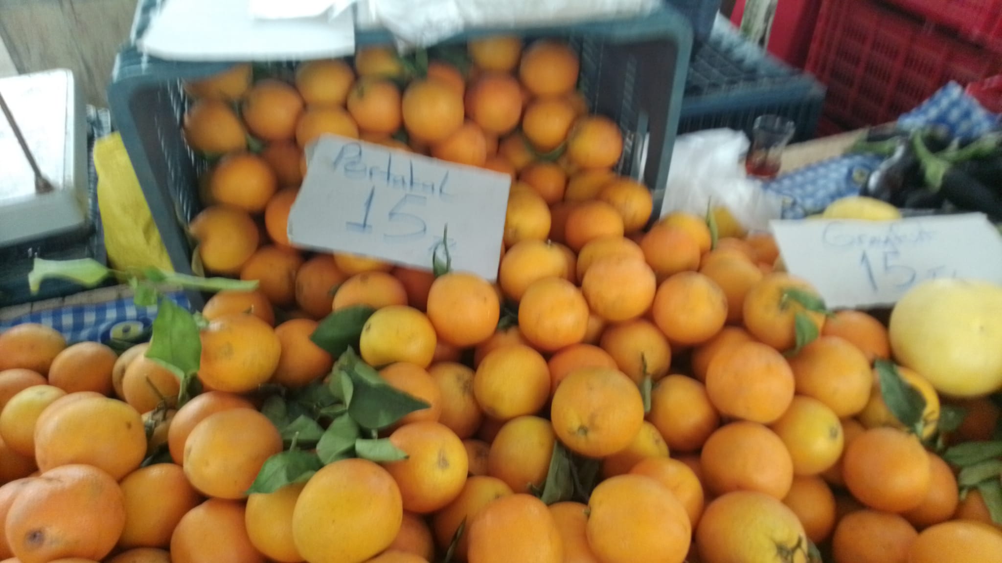 Domates Ve Salatalık 5 Tl (6)