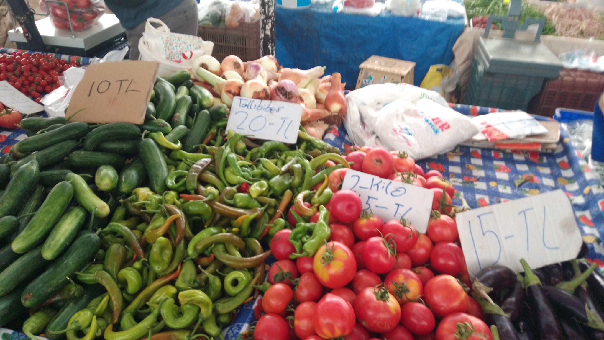 Domates Ve Salatalık 5 Tl (7)