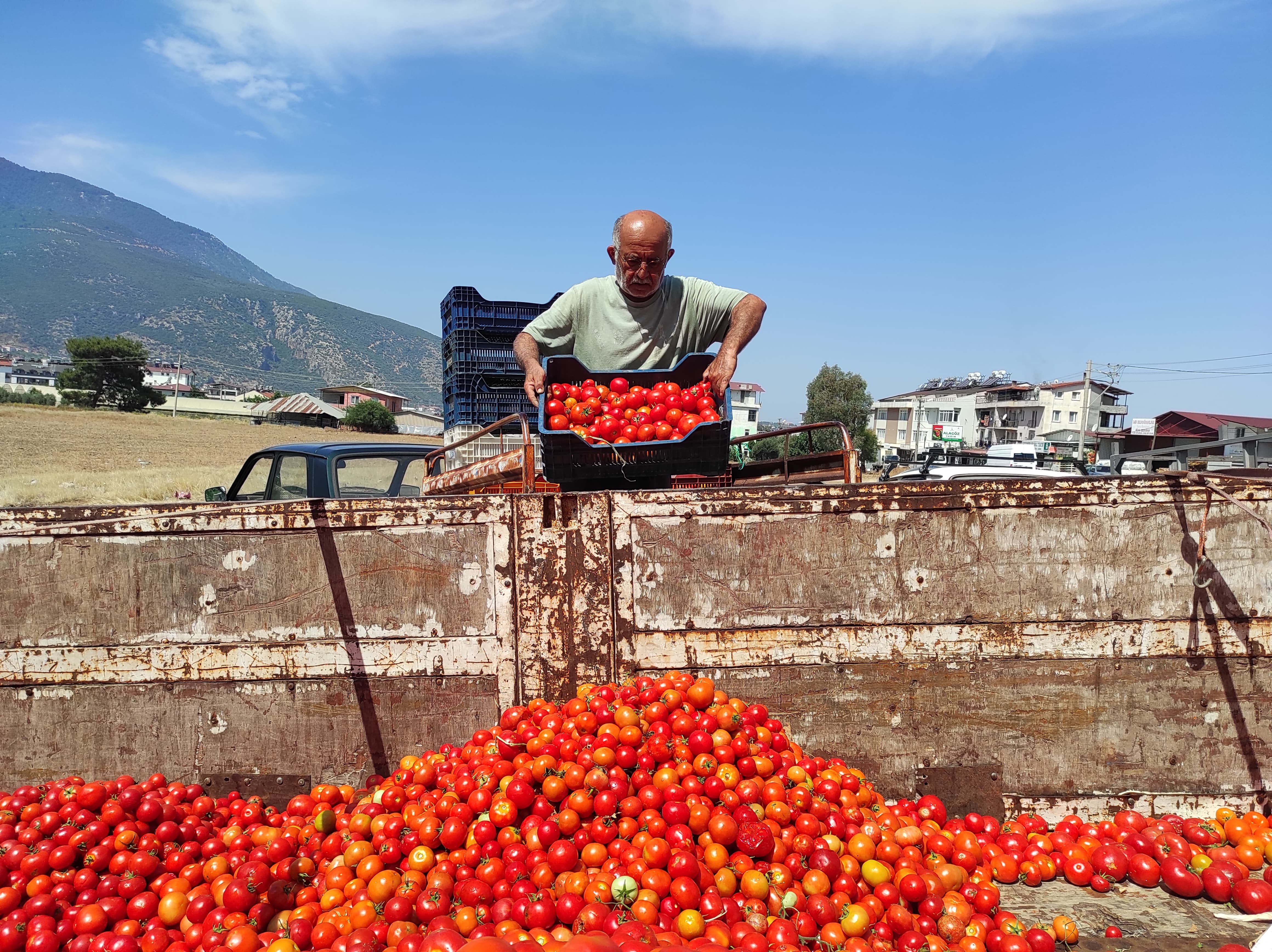 Karaçulha Toptancı Halinde Salçalık Domates Mesaisi (7)