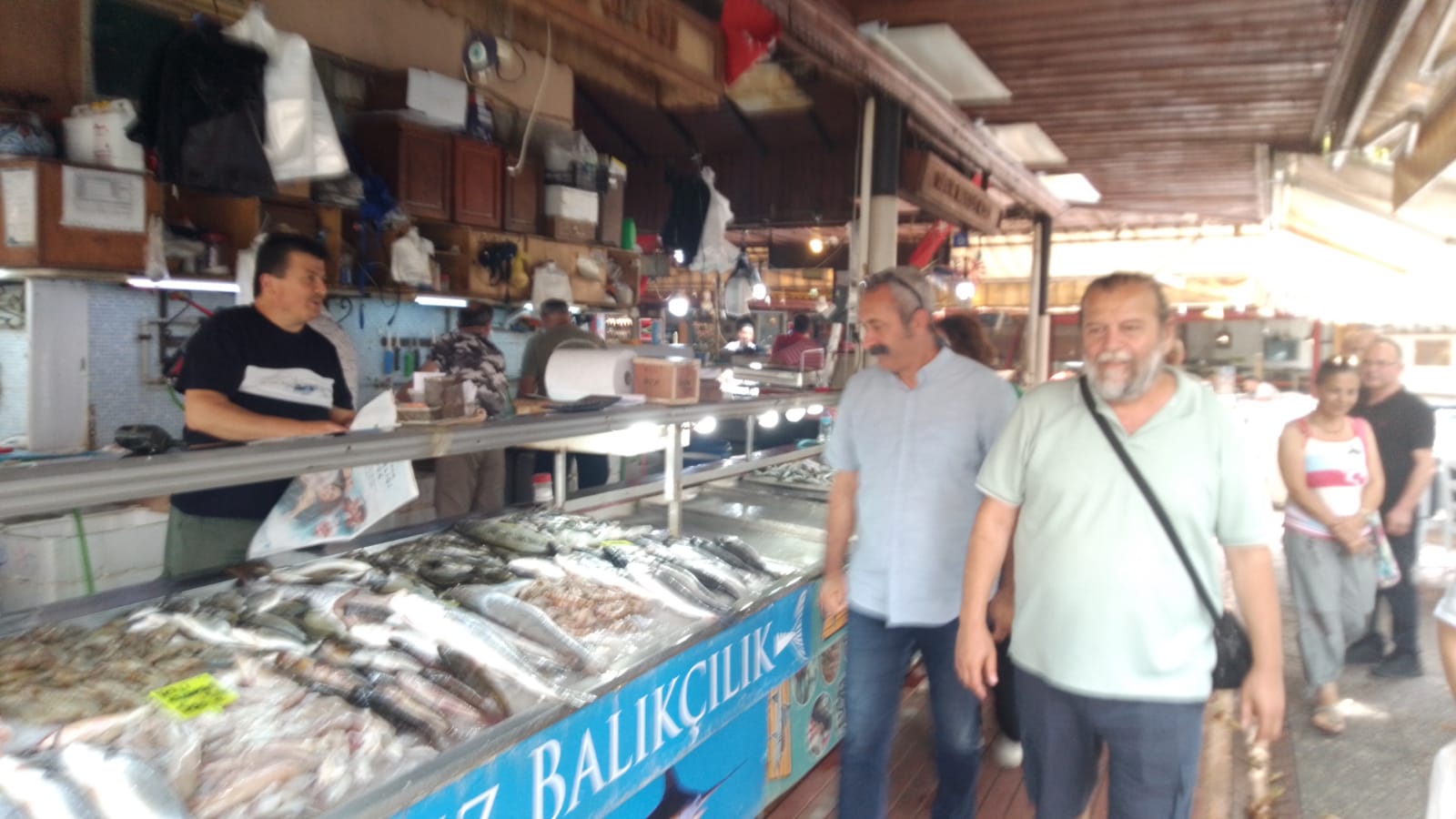 Maçoğlu, Fethiye’de Kooperatif Kuracak (1)