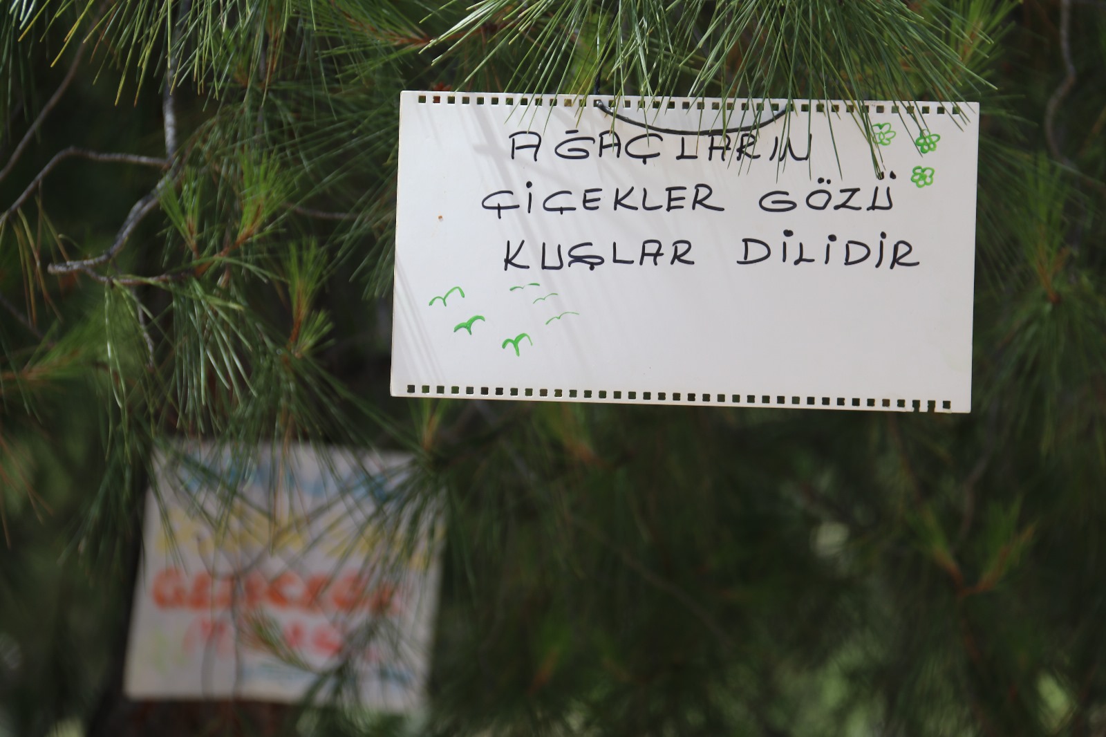 Whatsapp Görsel 2024 06 01 Saat 18.41.14 1Fc80A65