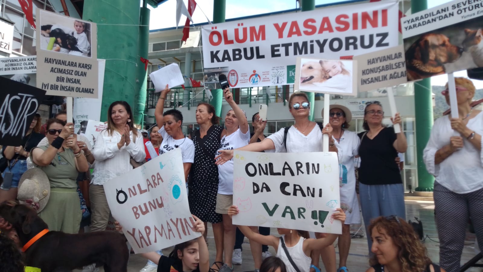 Whatsapp Görsel 2024 06 02 Saat 16.44.36 F2111C64