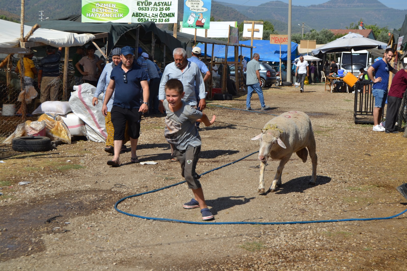 Whatsapp Image 2024 06 15 At 19.25.34 (1)