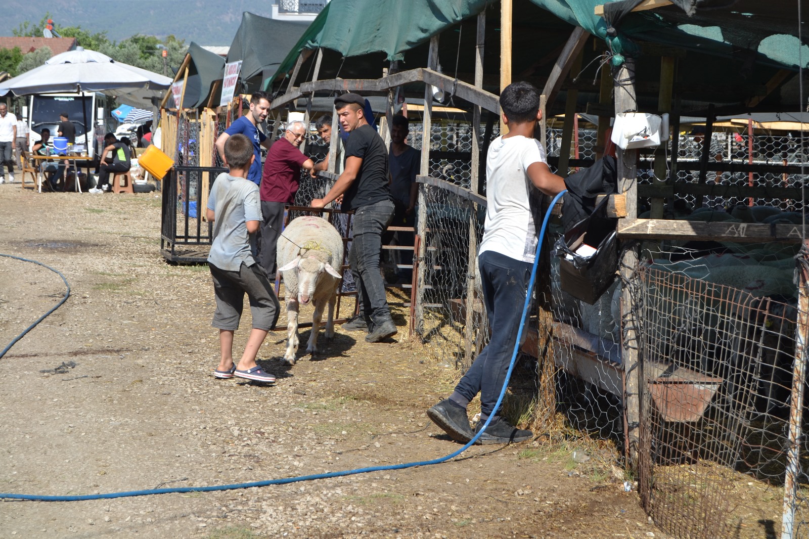 Whatsapp Image 2024 06 15 At 19.25.34