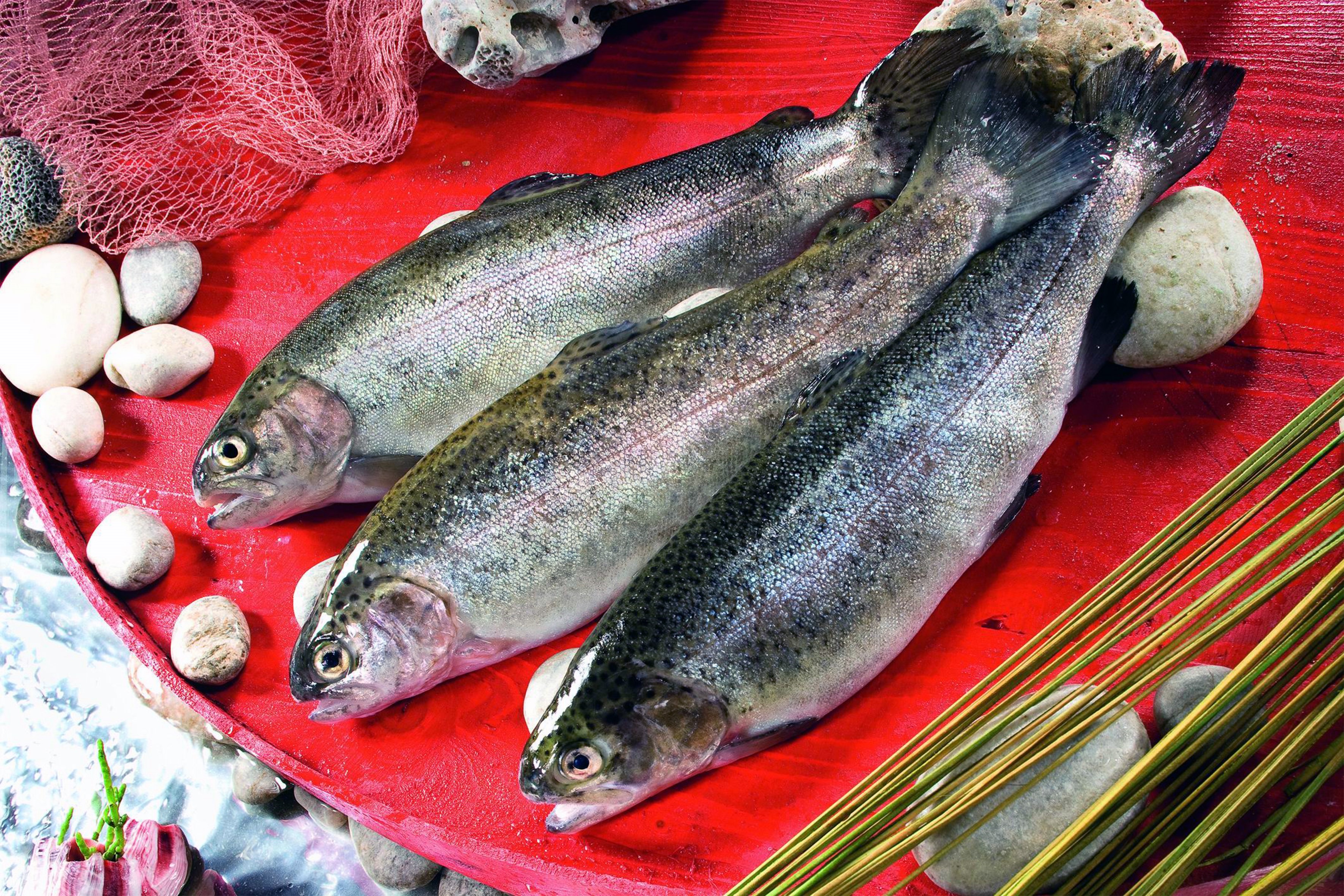 Ege'de Tarımsal Ürünler İhracatının Lideri Su Ürünleri (3)