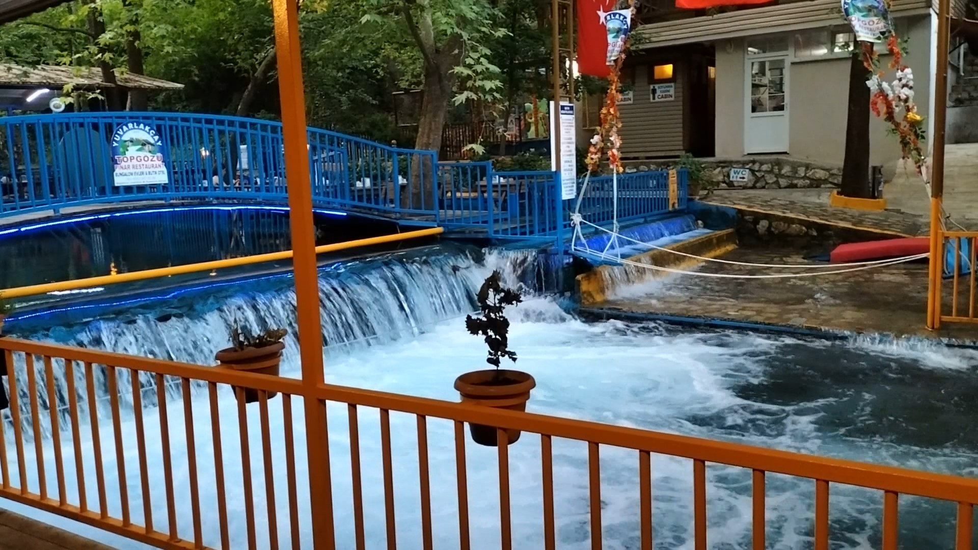 Köyceğiz'de Bulunan Doğal Klima Yuvarlak Çay (3)