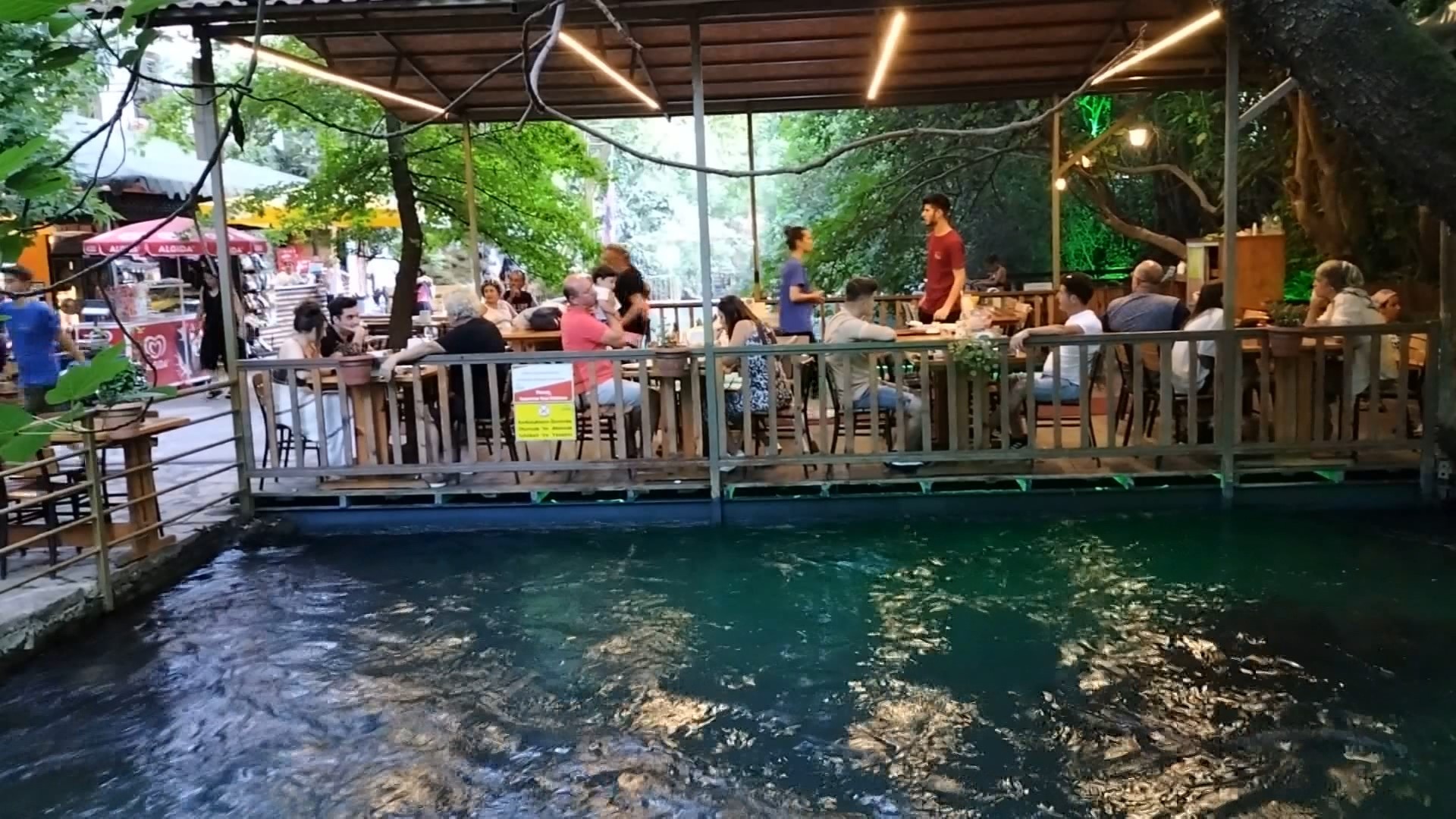 Köyceğiz'de Bulunan Doğal Klima Yuvarlak Çay (4)