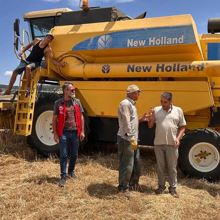 Seydikemer Buğday Hasadı Devam Ediyor (3)