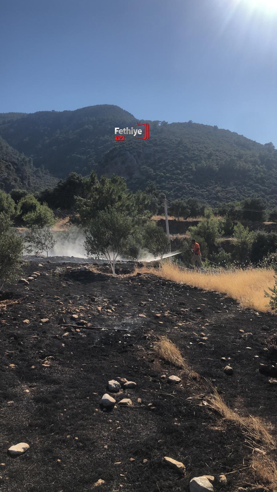 Whatsapp Görsel 2024 07 01 Saat 17.21.02 4A9C0984