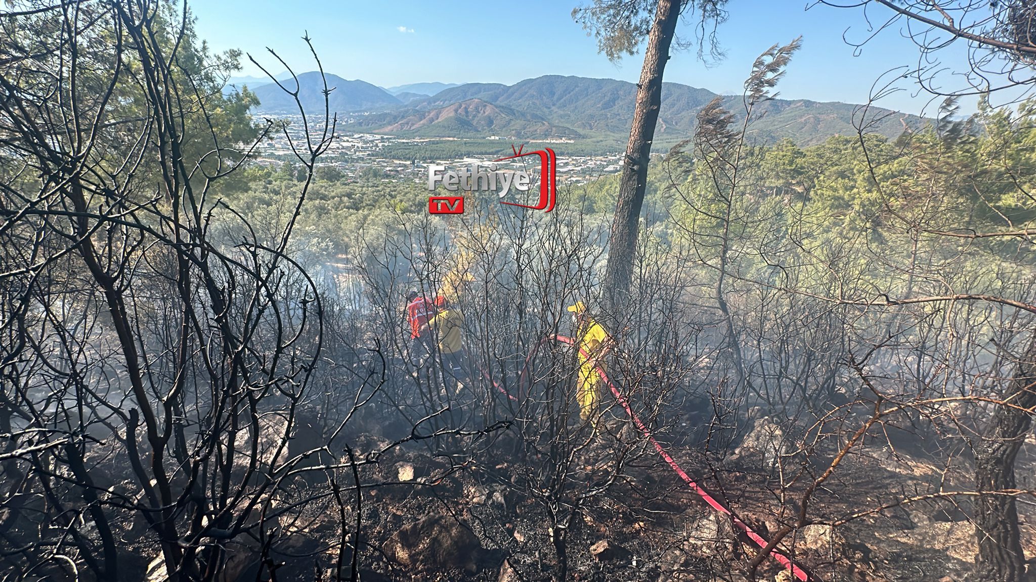 Whatsapp Görsel 2024 07 01 Saat 17.46.49 B0Af72E0