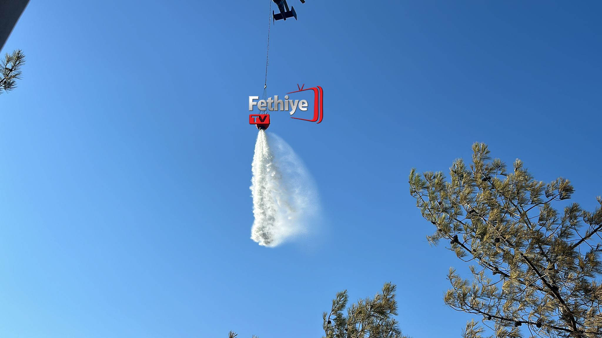 Whatsapp Görsel 2024 07 01 Saat 17.46.51 575A1118