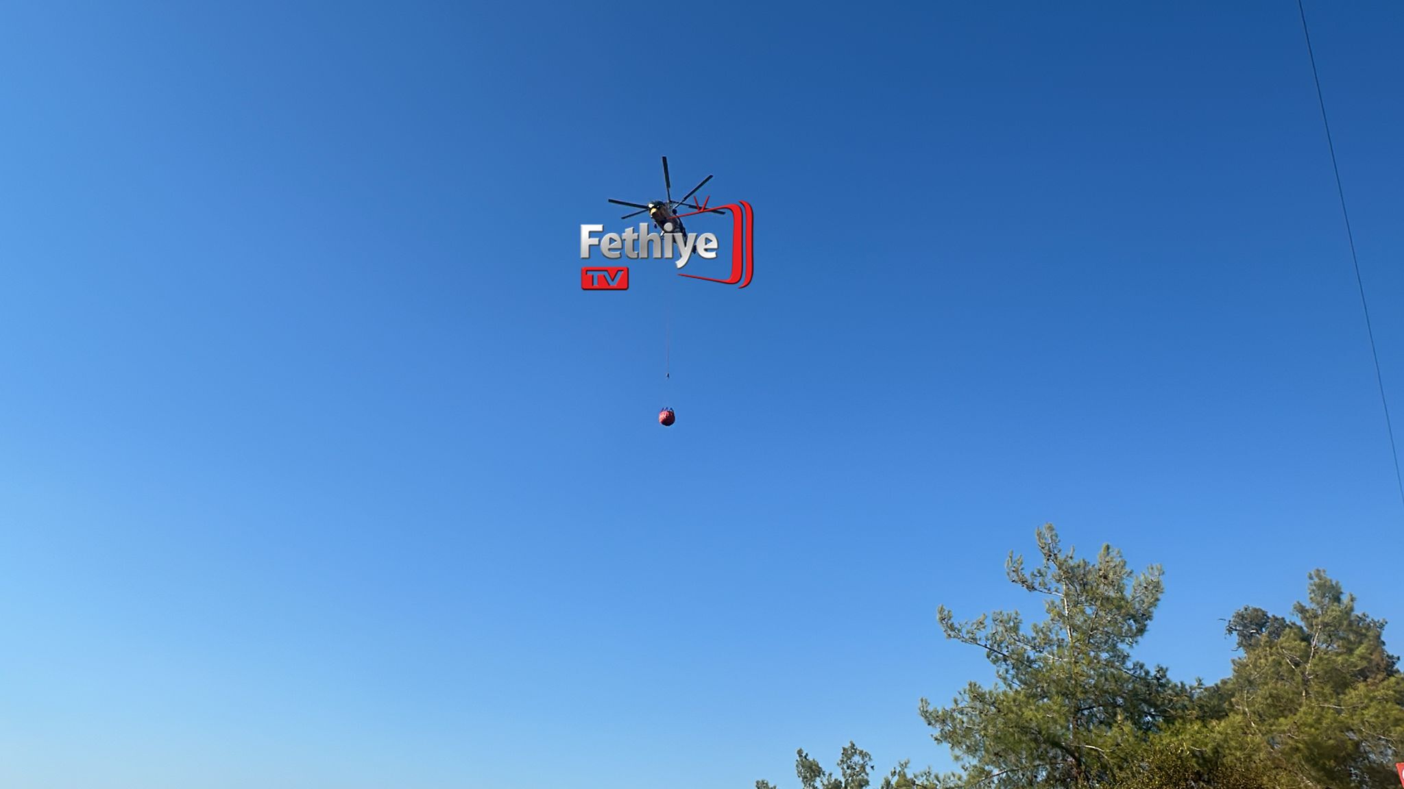 Whatsapp Görsel 2024 07 01 Saat 17.55.08 947258B1