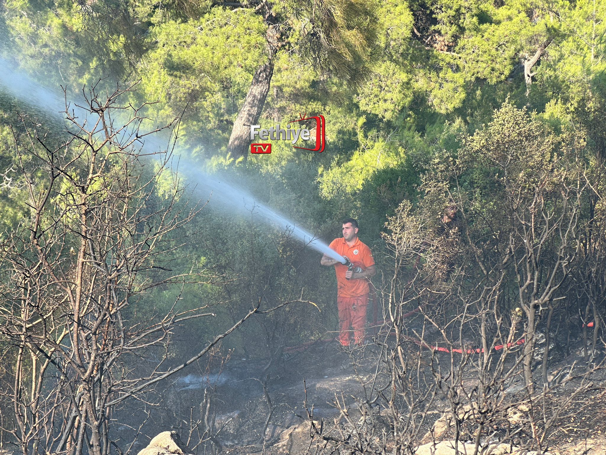 Whatsapp Görsel 2024 07 01 Saat 17.55.32 5E75Ff0D