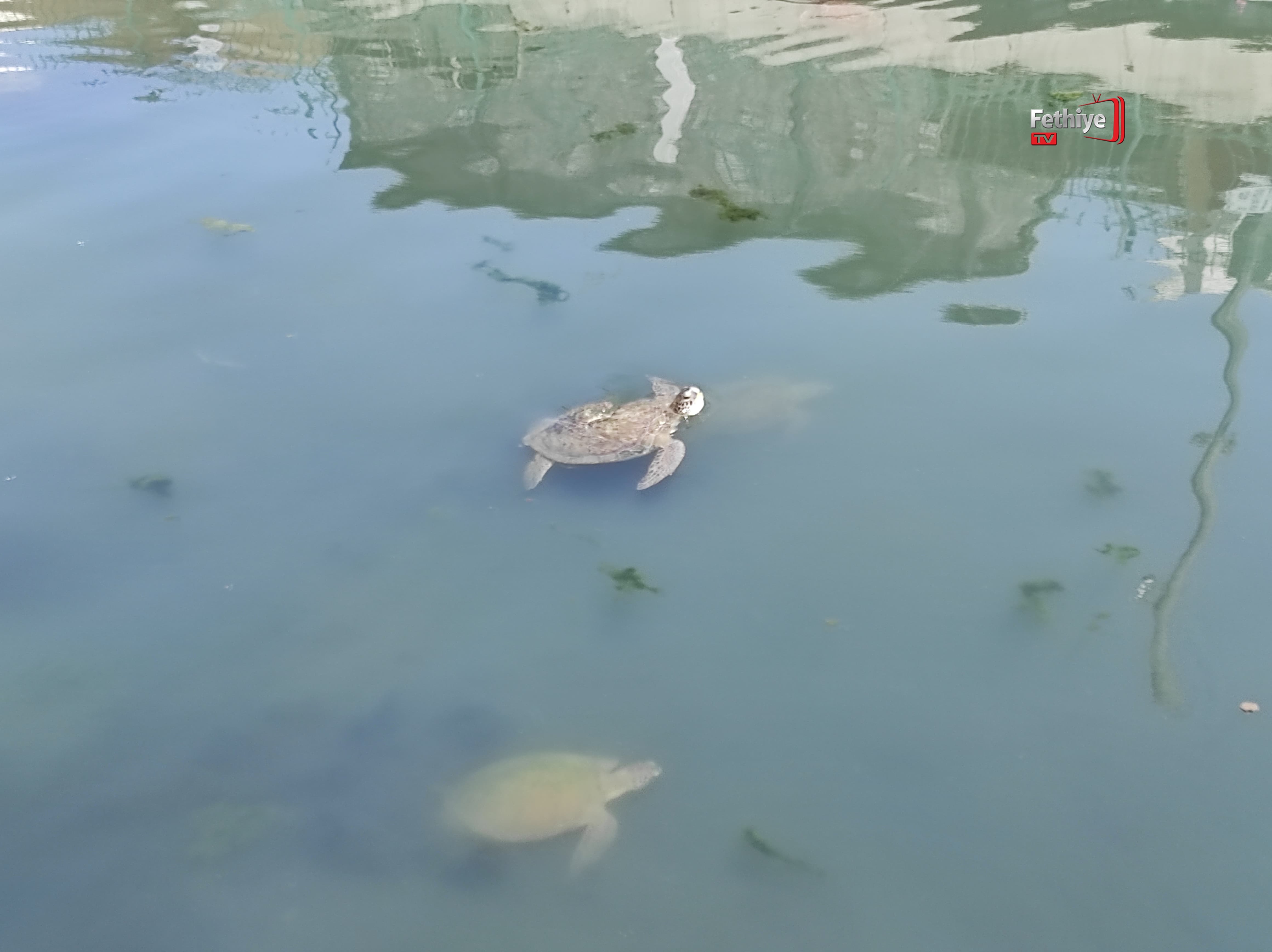 Whatsapp Görsel 2024 07 16 Saat 12.51.36 Ab401F8C