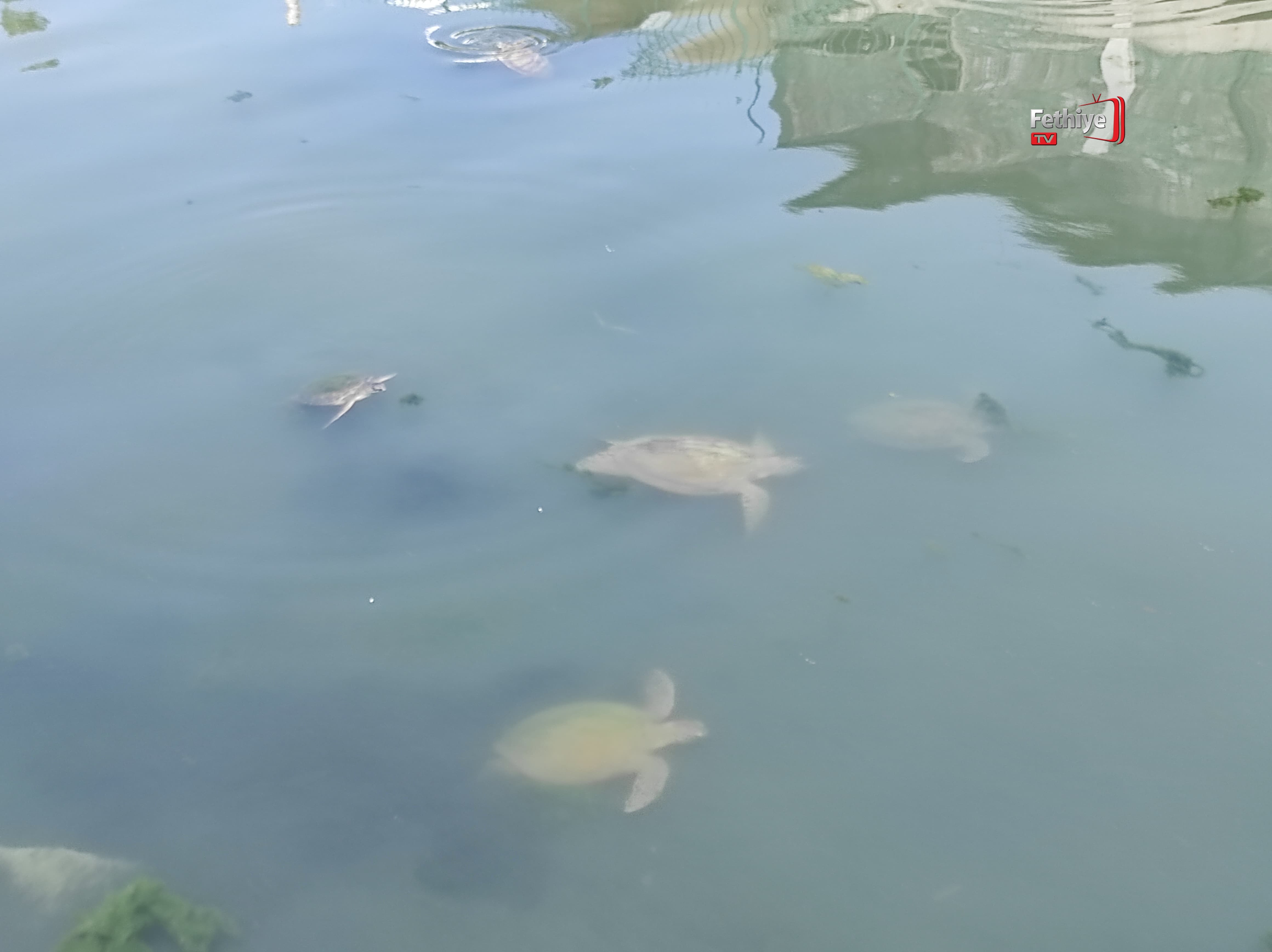 Whatsapp Görsel 2024 07 16 Saat 12.51.37 4F20B291