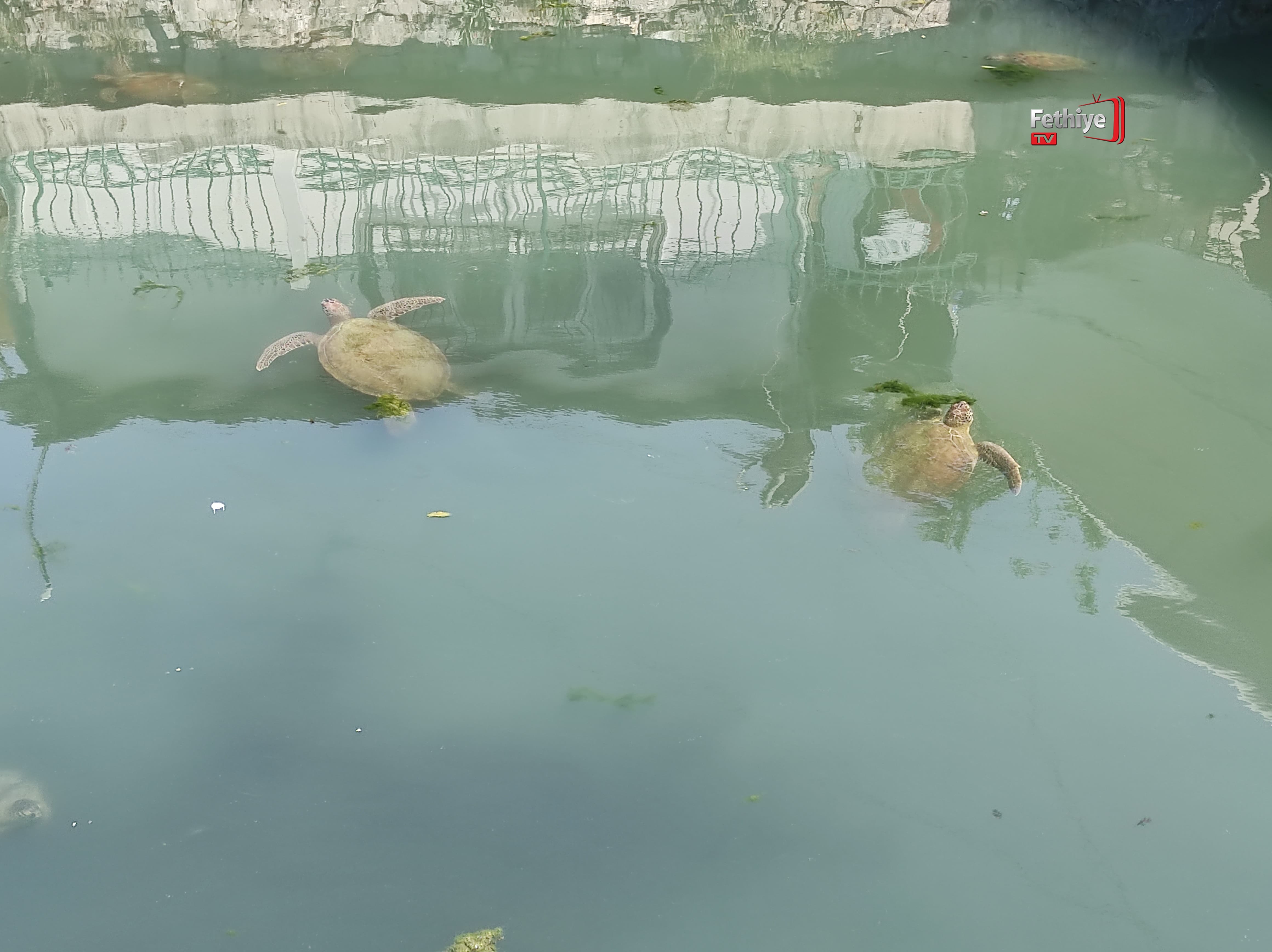 Whatsapp Görsel 2024 07 16 Saat 12.51.41 B2057546