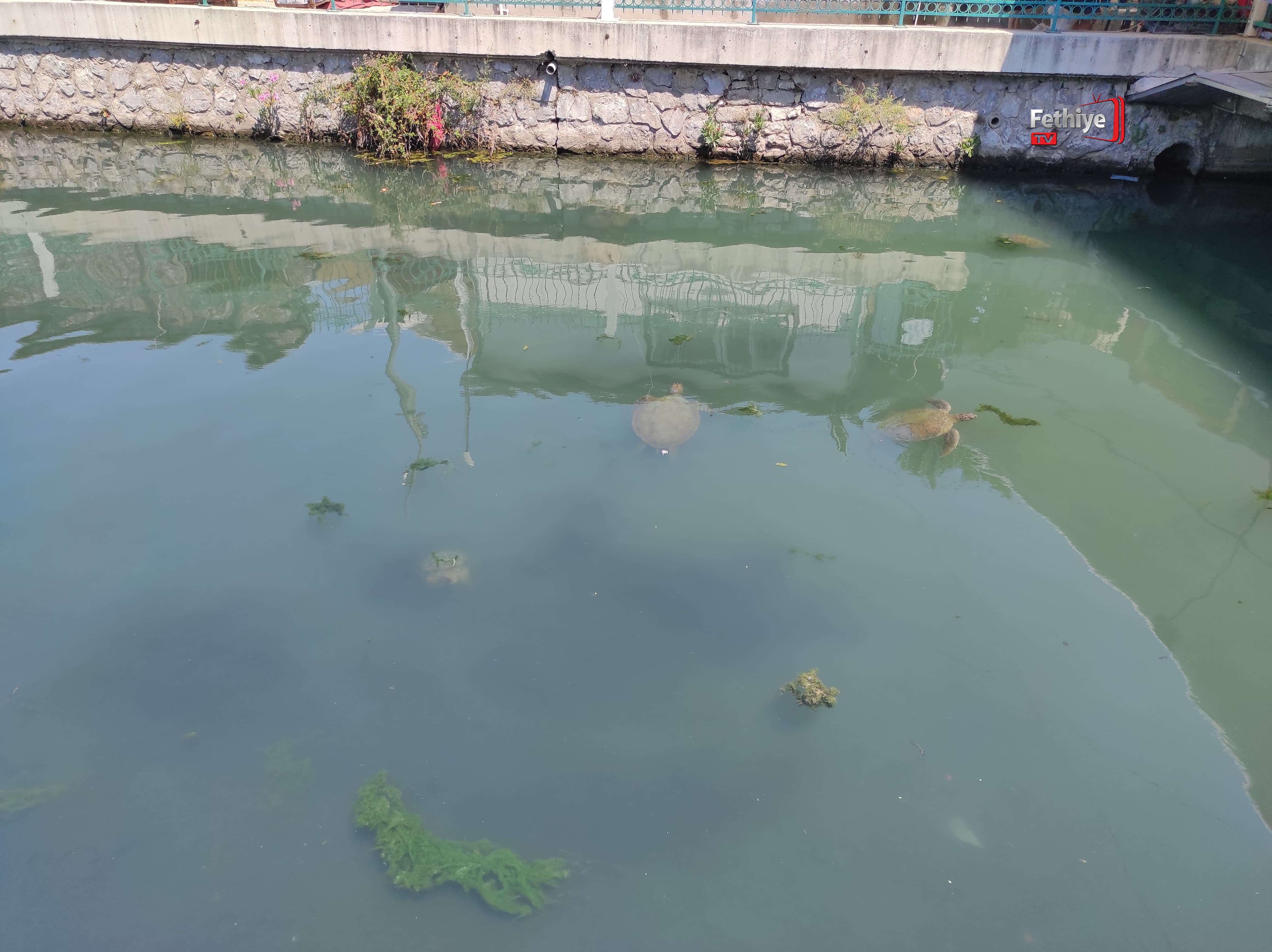 Whatsapp Görsel 2024 07 16 Saat 12.51.42 9F73A5E6